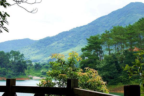 黃龍湖森林公園
