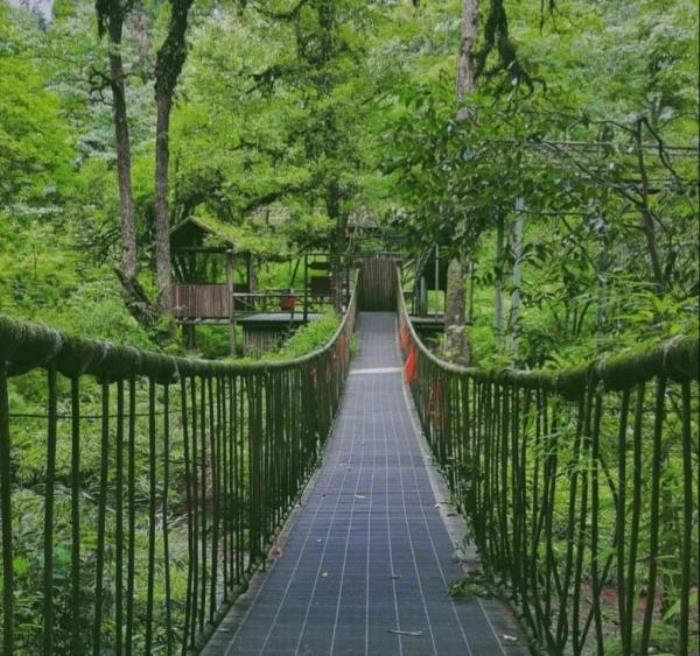 龍蒼溝國(guó)家級(jí)森林公園