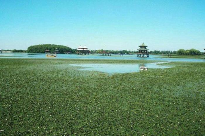 五里湖生態(tài)濕地公園