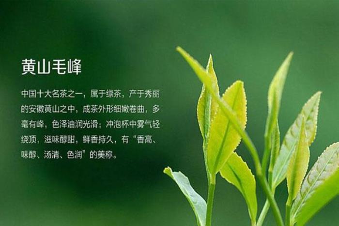 徽茶文化博物館