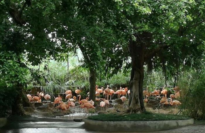 肇慶星湖濕地公園