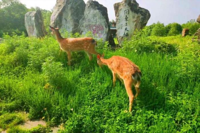 長白山狩獵度假區