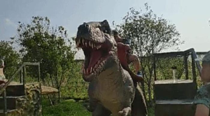 肇慶恒大夢幻奇趣園