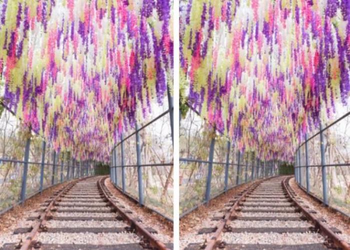 肇慶恒大夢幻奇趣園