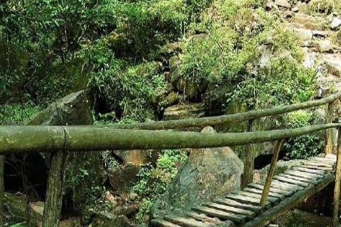九龍原始森林景區