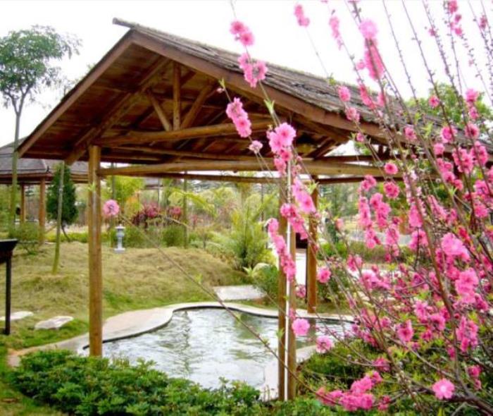 臺(tái)山康橋溫泉