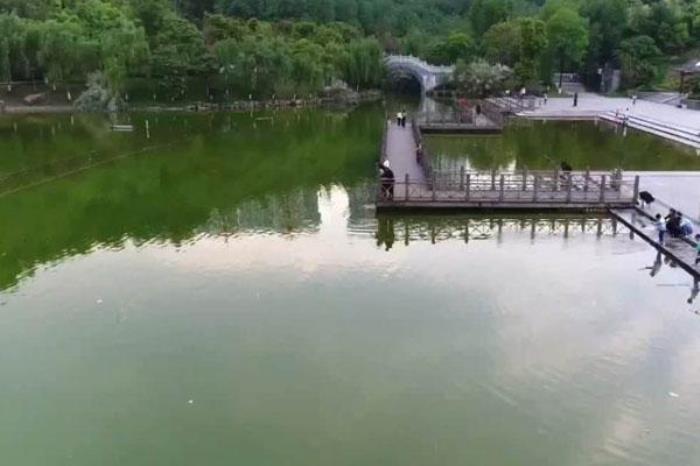 黃桷樹公園