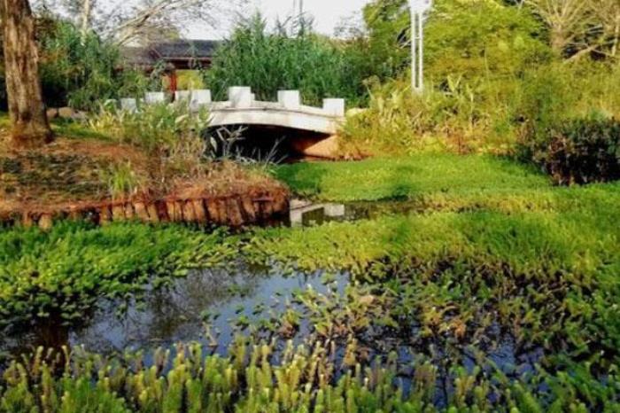 萃屏公園