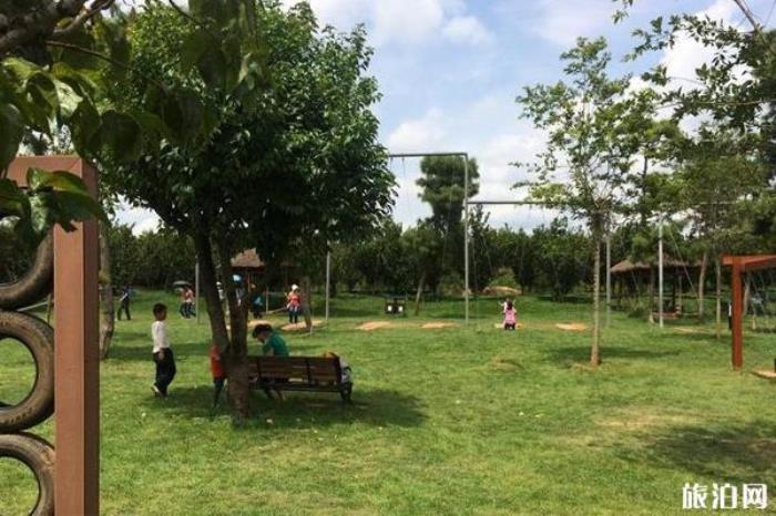 石林萬家歡藍莓莊園