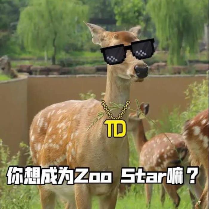 泉城歐樂堡動物王國