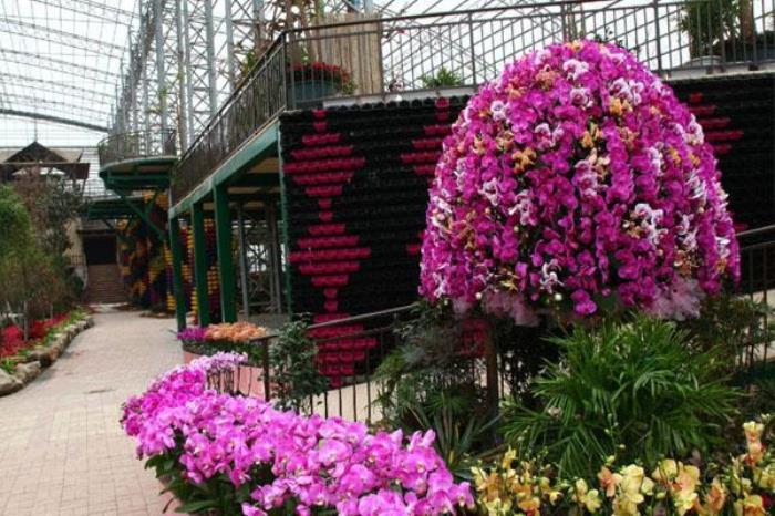 臺灣花博園