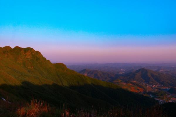 太陽坪映山紅景區(qū)