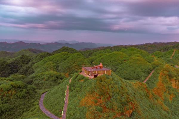 太陽坪映山紅景區(qū)
