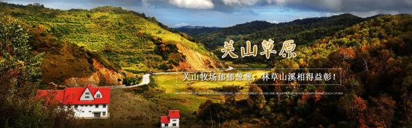 寶雞關山草原