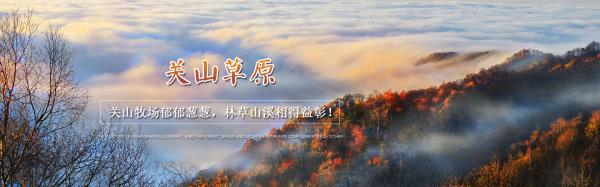 寶雞關山草原