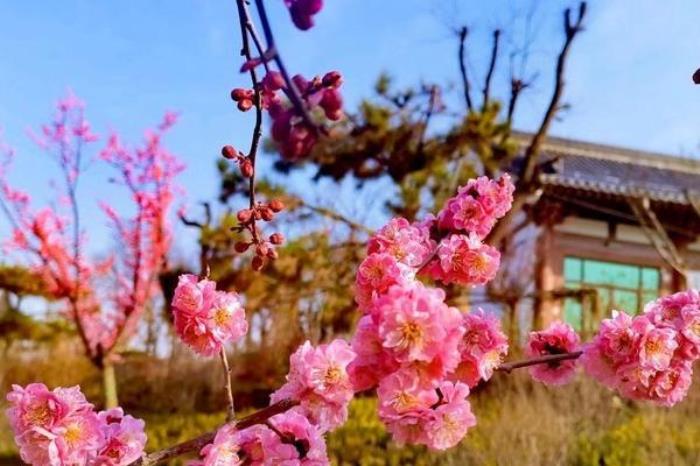 渭南南湖公園