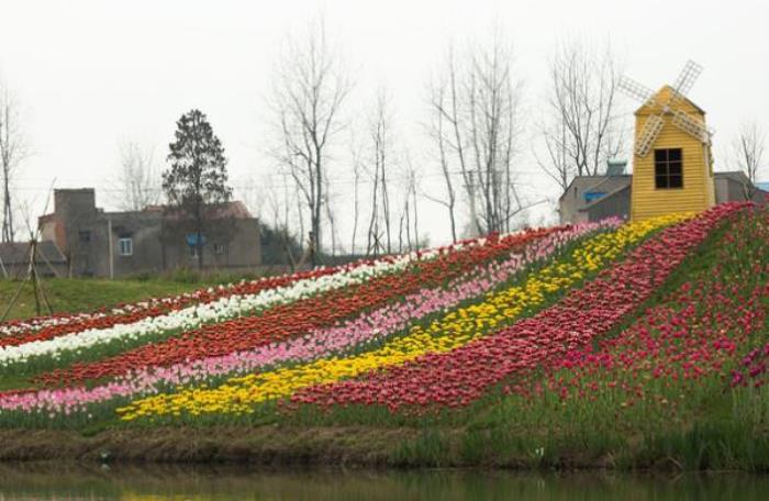 百萬(wàn)花海風(fēng)景區(qū)