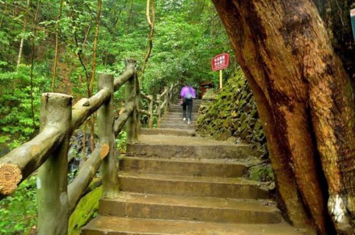 融水雙龍溝原始森林景區
