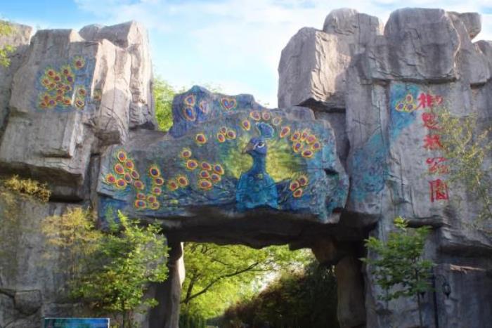 金孔雀溫泉旅游度假村