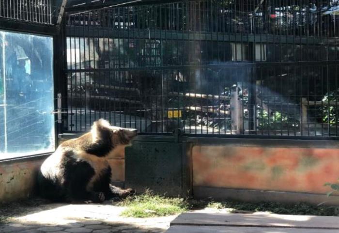 西雙版納熱帶動物園