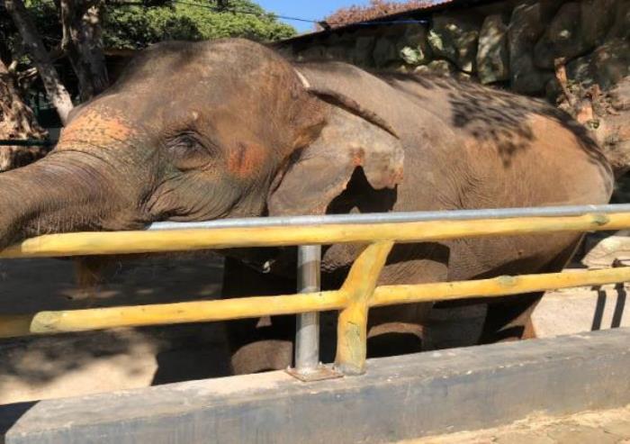 西雙版納熱帶動物園