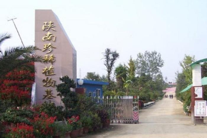 陜南珍稀植物園
