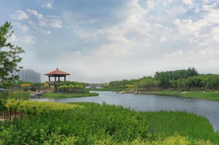 豐華公園