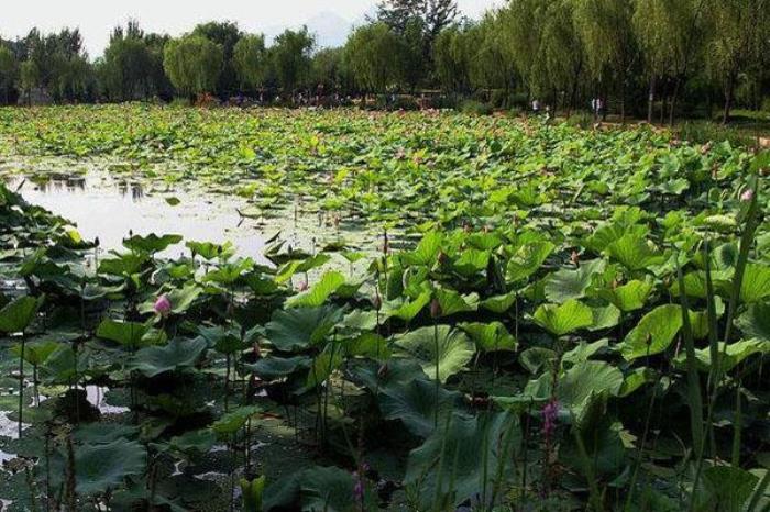 方正湖公園