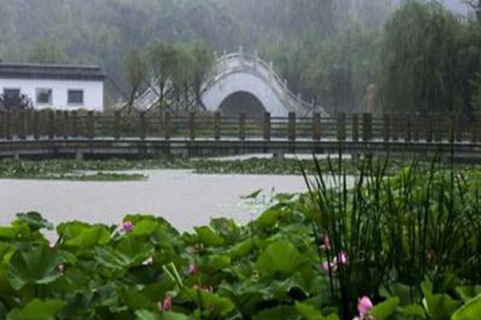 北方珍稀植物園