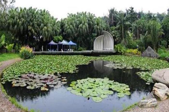 北方珍稀植物園
