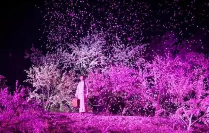 《桃花源記》大型山水實景演出