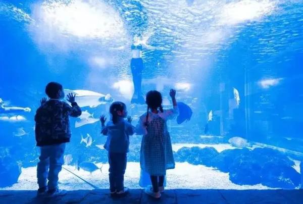 幻太奇海洋親子主題公園