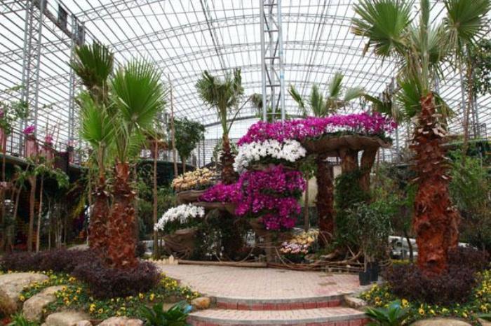 臺(tái)灣花博園