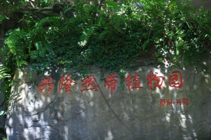 萬寧-興隆熱帶植物園