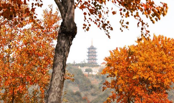 香山景區(qū)
