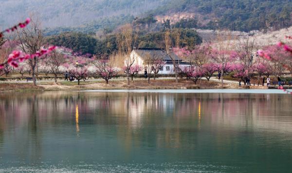香山景區(qū)