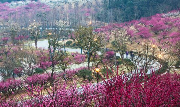 香山景區(qū)