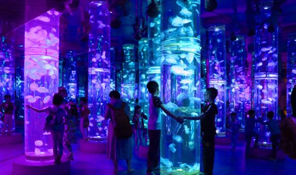 張家港夢幻海洋王國