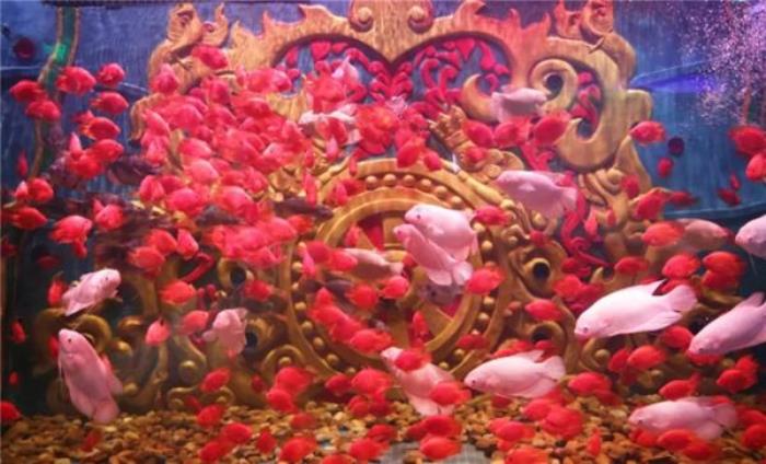 西雙版納傣族自治州-湄公河水底世界