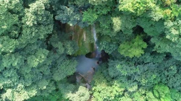 大口國家森林公園