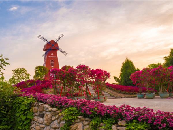 英山四季花海景區