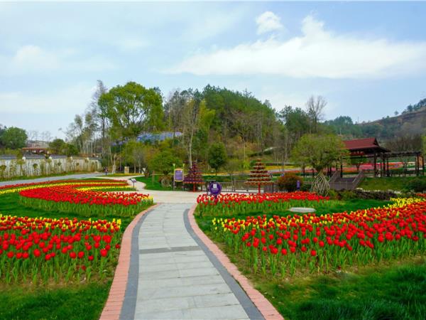 英山四季花海景區