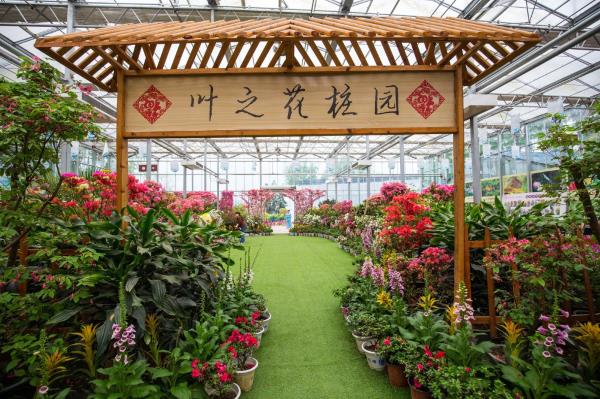 英山四季花海景區