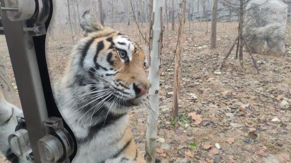 濮陽東北莊野生動物園