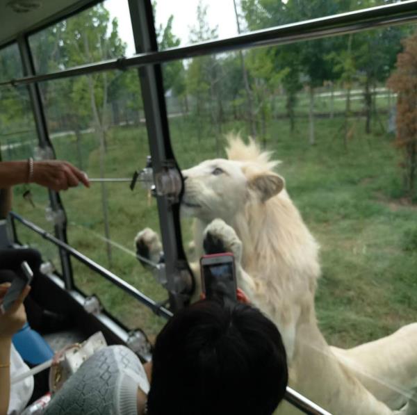 濮陽東北莊野生動物園
