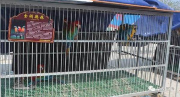 濮陽東北莊野生動物園
