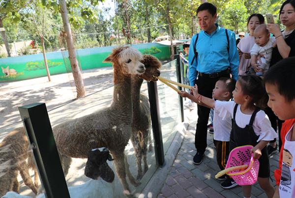 濮陽東北莊野生動物園