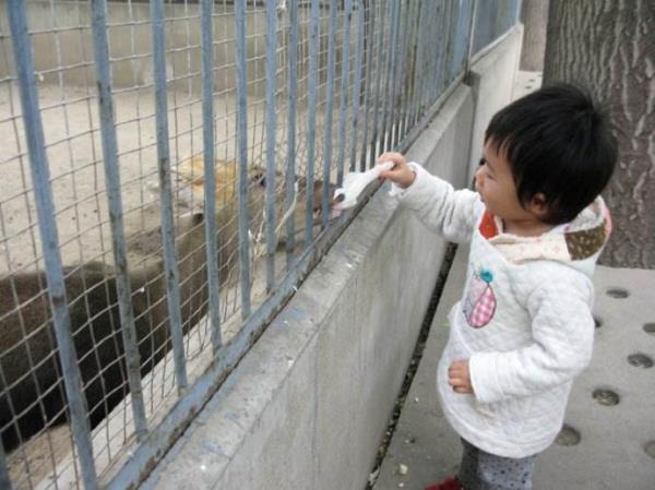 濮陽東北莊野生動物園