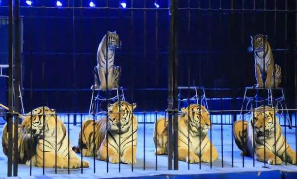 濮陽東北莊野生動物園