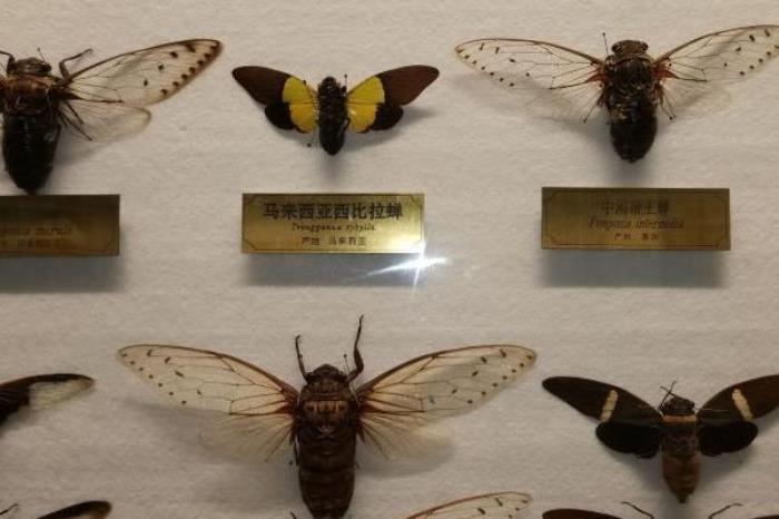 西北農(nóng)林科技大學(xué)博覽園
